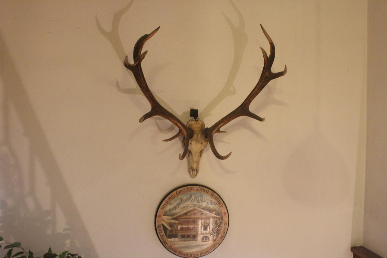 Gasthof Mauth Hotel Санкт Йохан ин Тирол Екстериор снимка